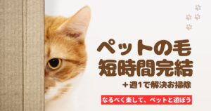 ５分で完了！ペットの毛対策ー週末お掃除も
