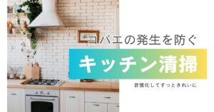 コバエ発生を防ぐ！キッチンの清掃と習慣
