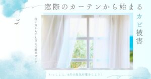窓際のカーテンから始まるカビ被害！洗い方＆干し方 徹底ガイド【6月の湿気対策】