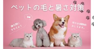 ペットの毛と暑さ対策！換毛期と猛暑に備える床掃除術をご紹介します