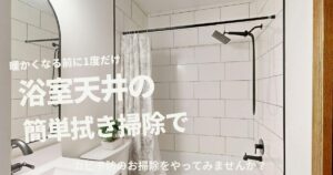 暖かくなる前に一度だけ「浴室天井の簡単拭き掃除」してみませんか？