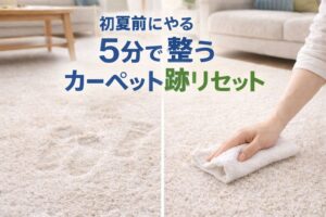 初夏前にやる「カーペットの踏み跡リセット掃除」｜5分で部屋が整って見える方法